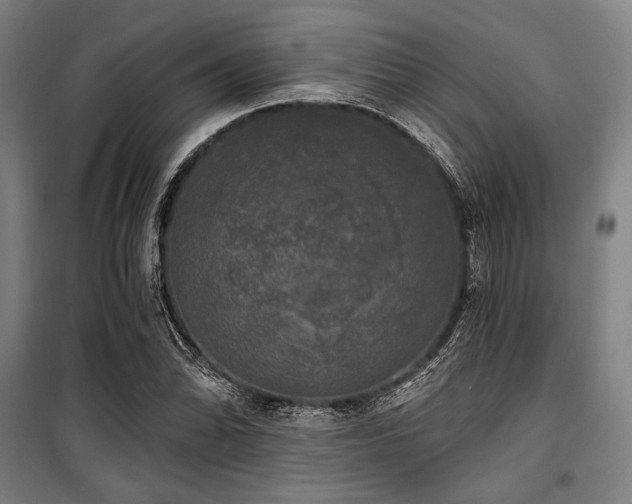 X0000100331070200806051529
