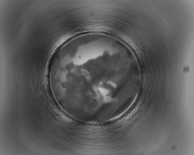 X0000100331071200806051529