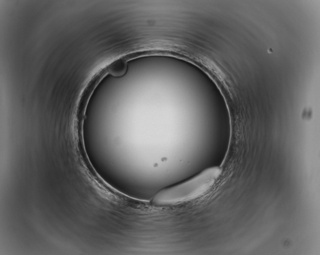 X0000100331072200806051529