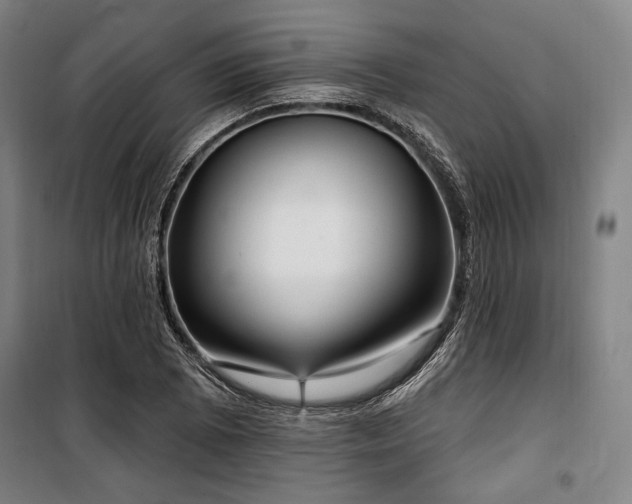 X0000100331073200806051529