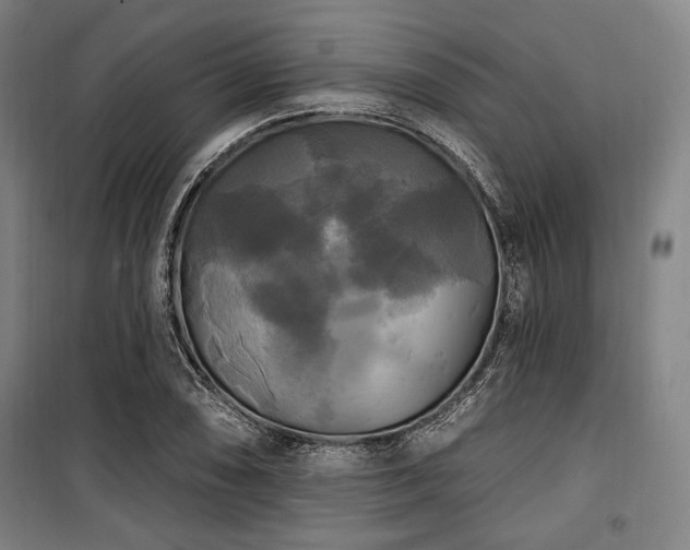 X0000100331074200806051529