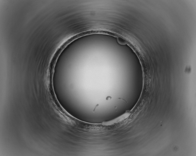 X0000100331076200806051529
