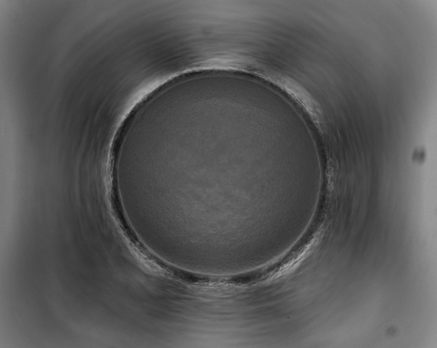 X0000100331077200806051529