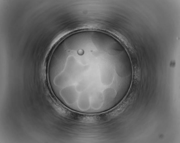 X0000100331078200806051529