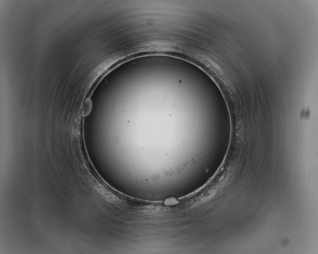X0000100331081200806051529