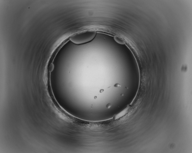X0000100331082200806051529