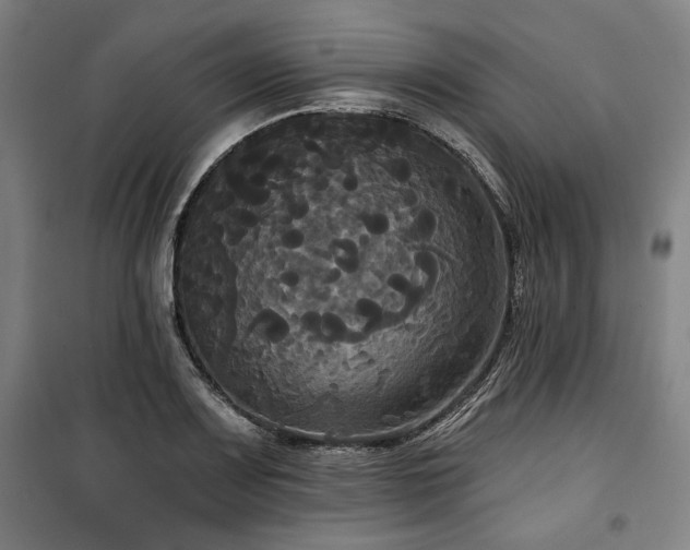 X0000100331083200806051529