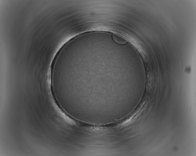 X0000100331084200806051528