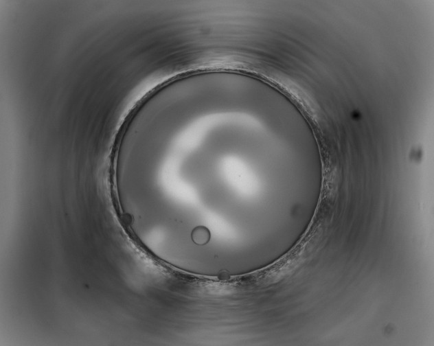 X0000100331086200806051528