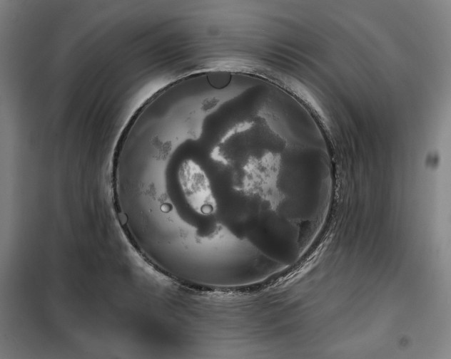 X0000100331087200806051528