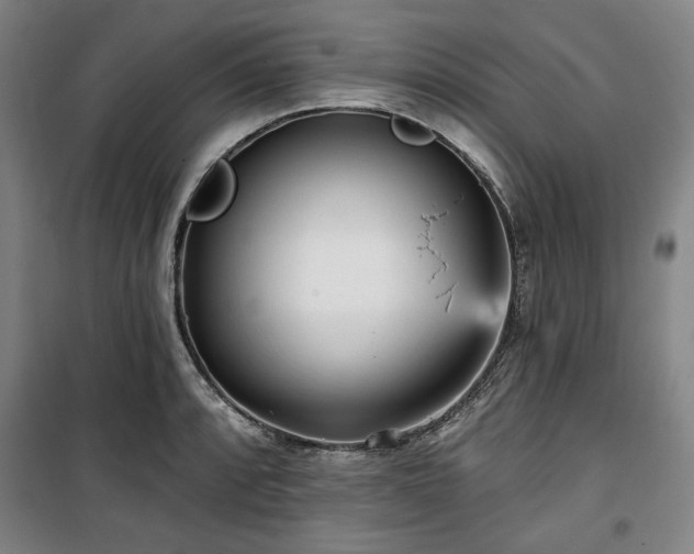 X0000100331088200806051528