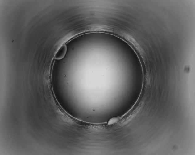 X0000100331089200806051528
