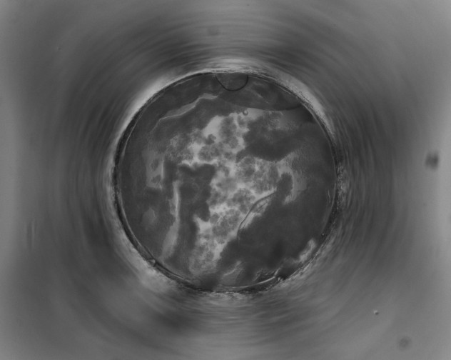 X0000100331091200806051528