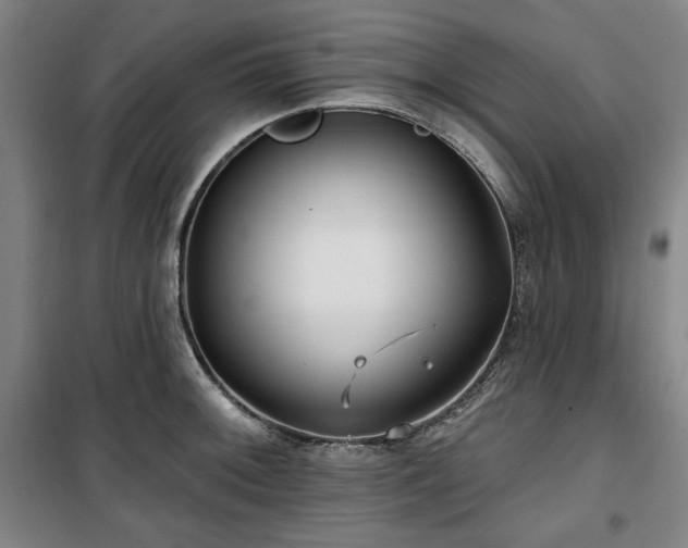 X0000100331092200806051528