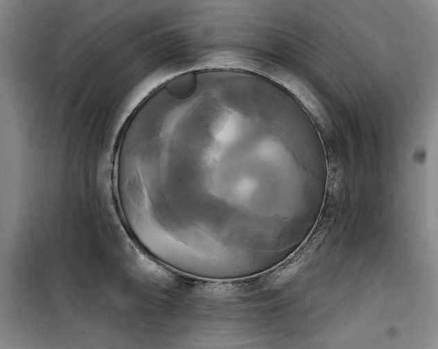 X0000100331094200806051528