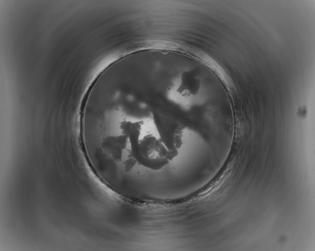 X0000100331095200806051528