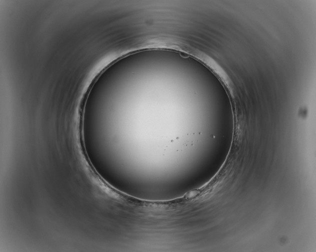 X0000100331096200806051528