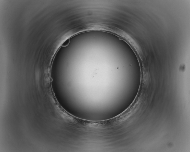 X0000100331097200806051528