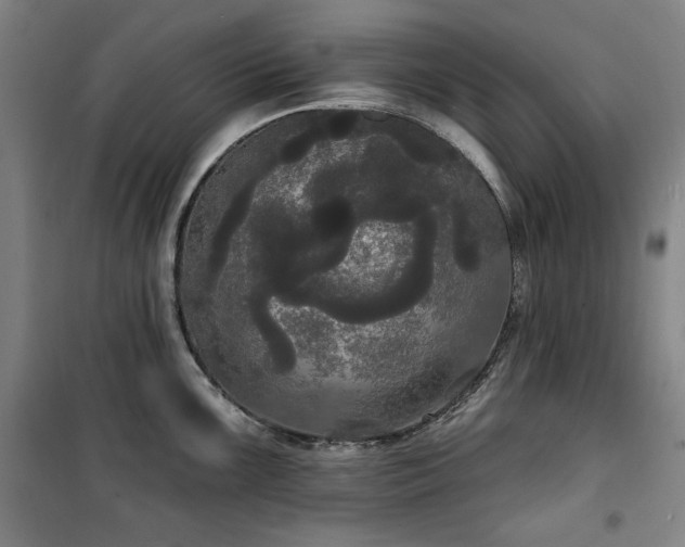 X0000100331099200806051528