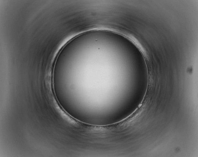 X0000100331100200806051528