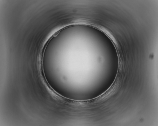X0000100331101200806051528