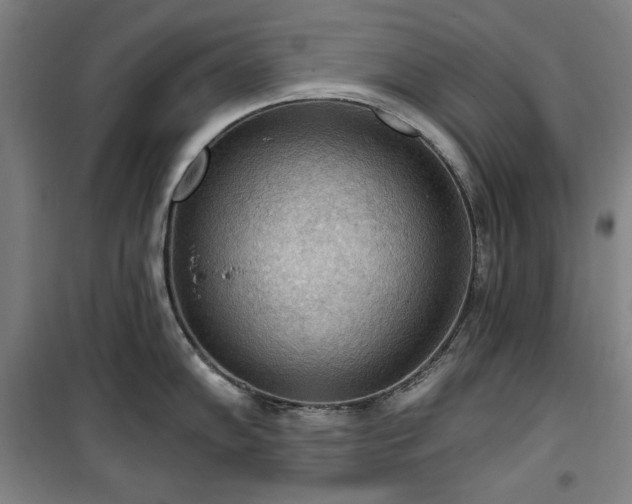 X0000100331102200806051528