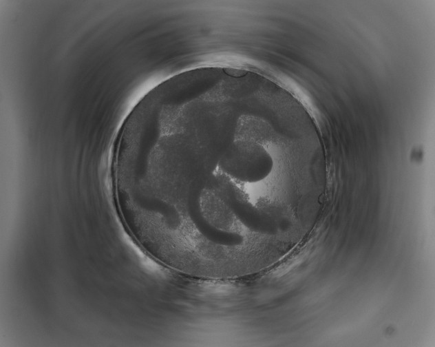 X0000100331103200806051528