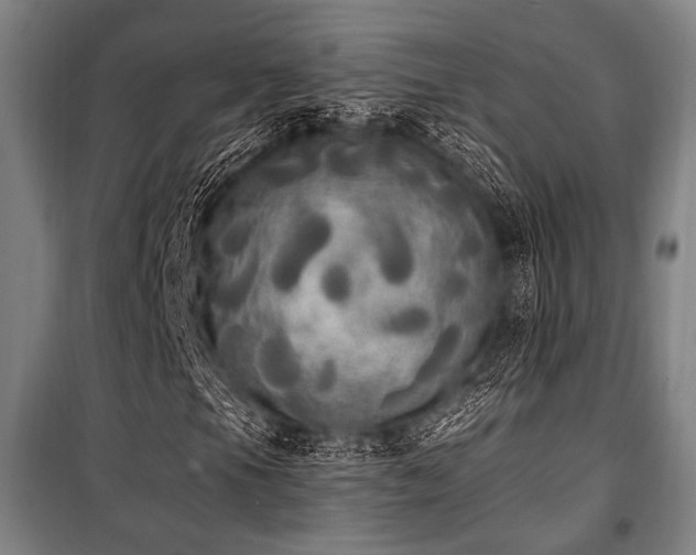 X0000100331105200806051527