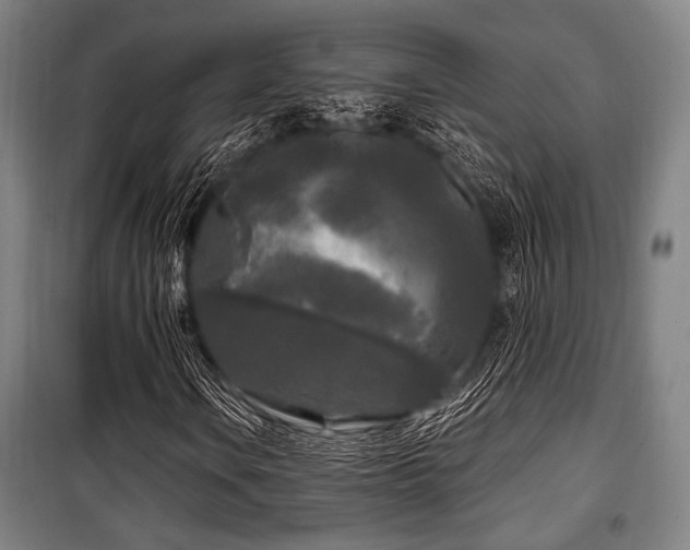 X0000100331106200806051528