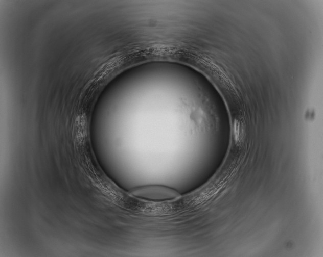X0000100331107200806051528