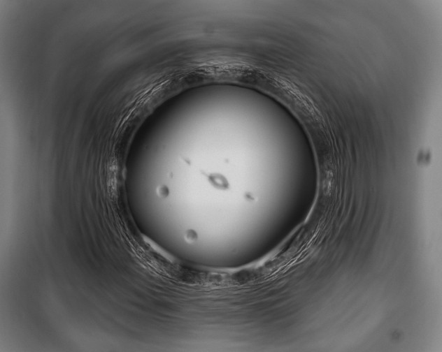 X0000100331108200806051528