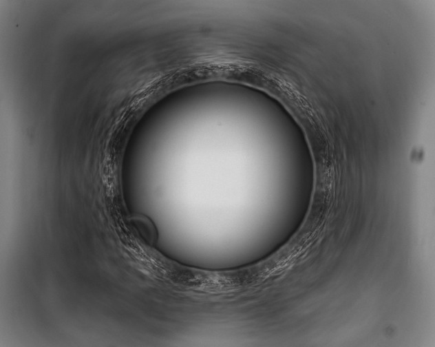 X0000100331109200806051528
