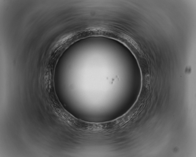 X0000100331111200806051528