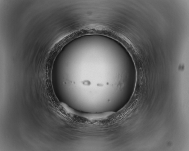 X0000100331112200806051528