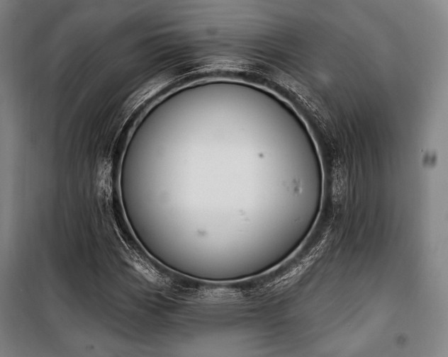 X0000100331113200806051528