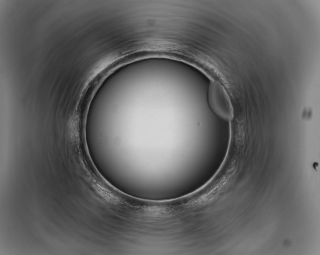 X0000100331114200806051528