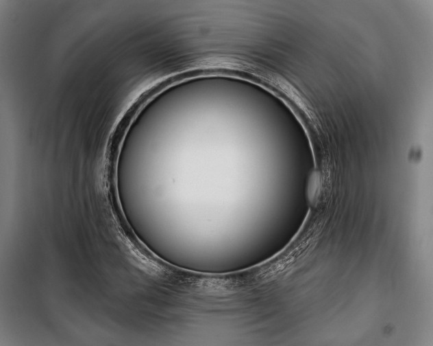 X0000100331116200806051528