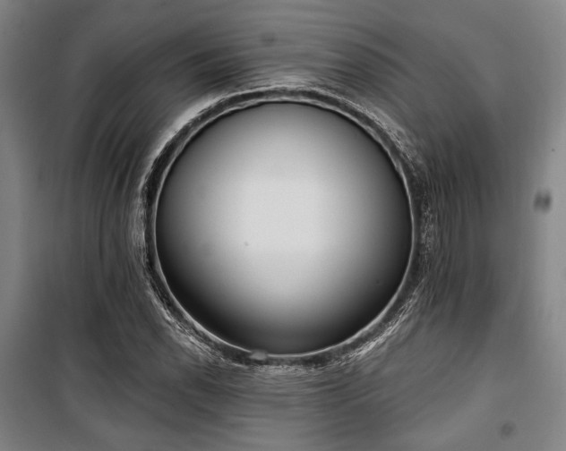 X0000100331118200806051528
