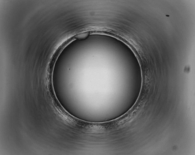 X0000100331119200806051528