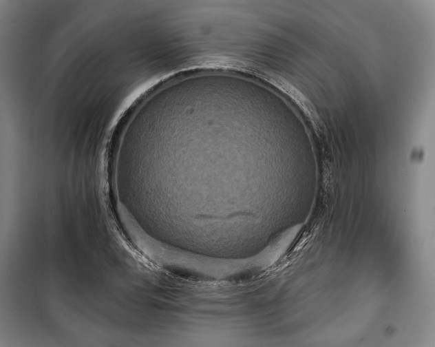 X0000100331120200806051528