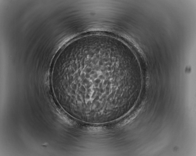 X0000100331121200806051528