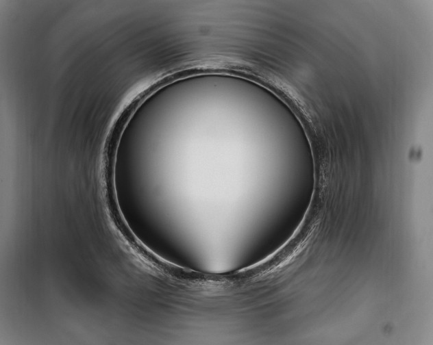 X0000100331122200806051528