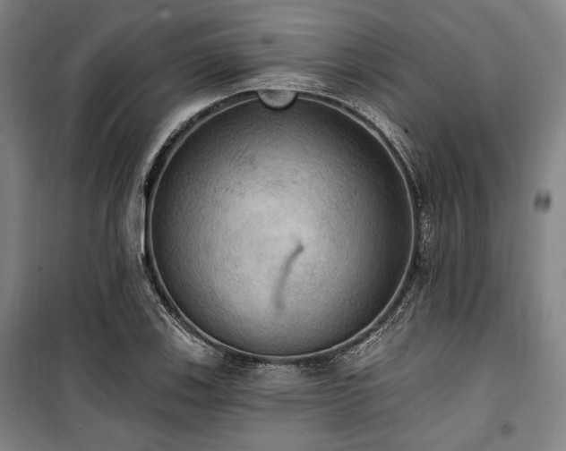 X0000100331123200806051528