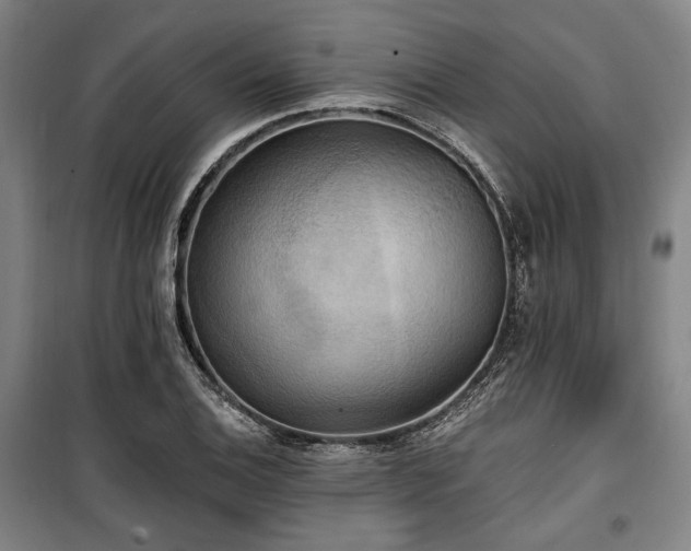 X0000100331124200806051528