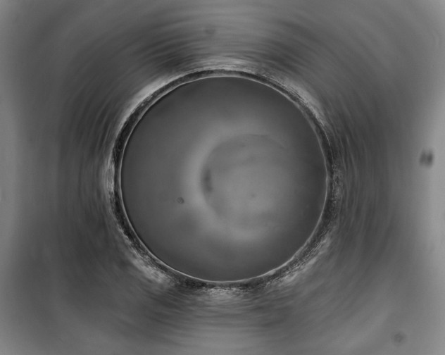 X0000100331125200806051528
