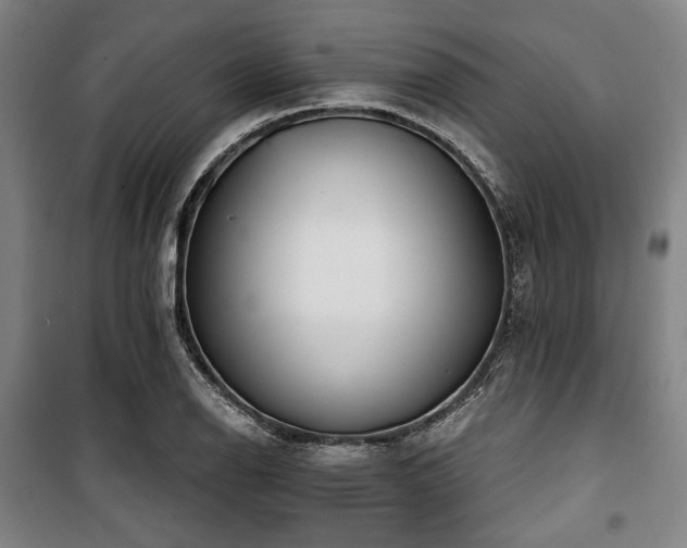 X0000100331126200806051528