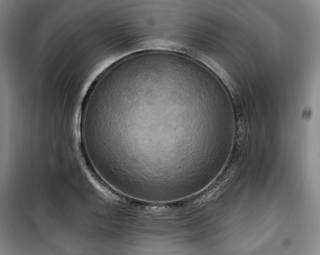 X0000100331128200806051528