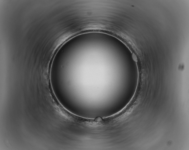 X0000100331129200806051528