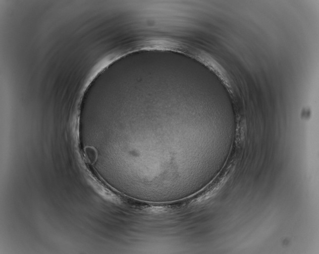 X0000100331130200806051528