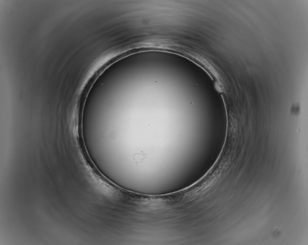 X0000100331131200806051528